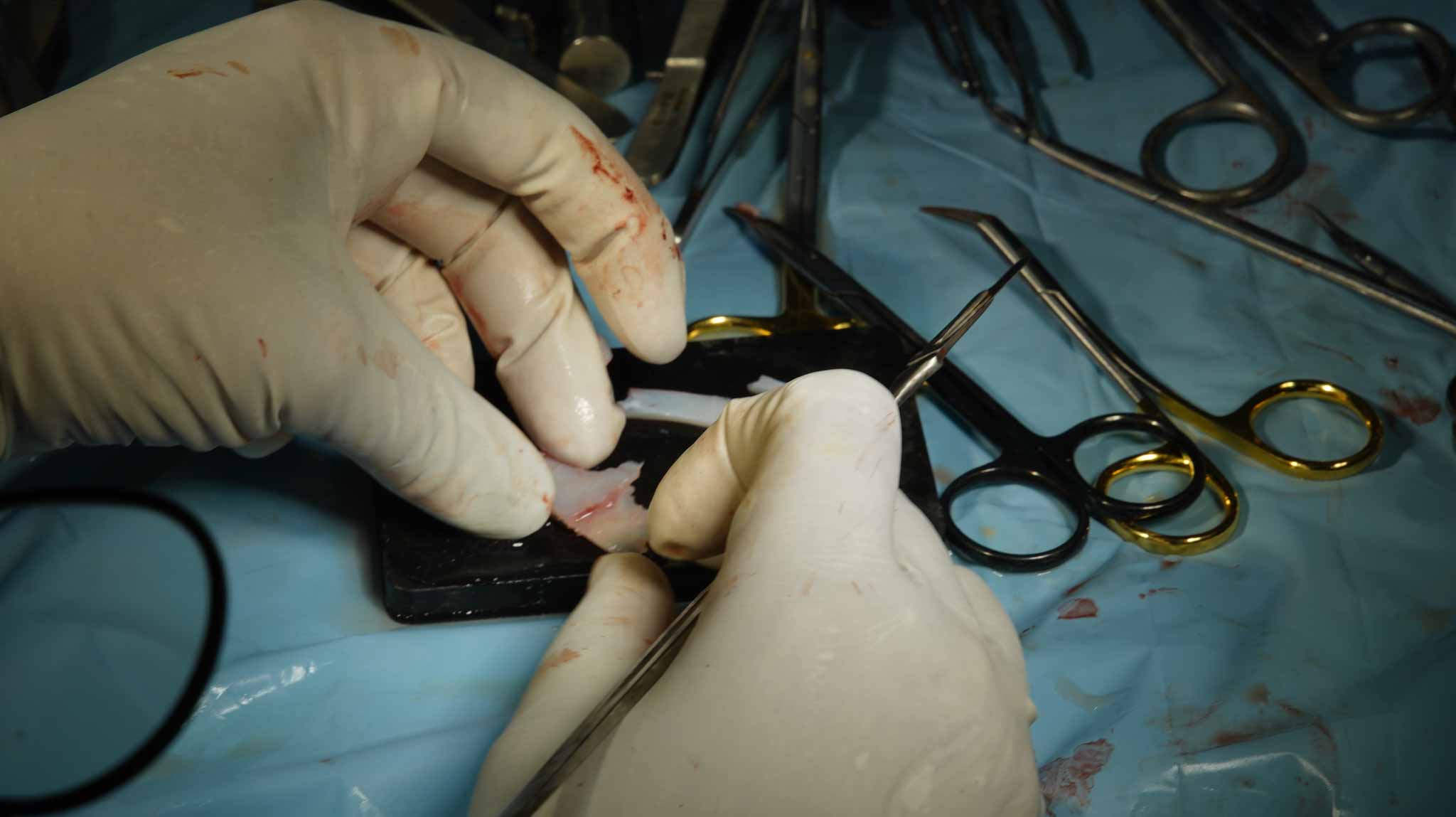 International Rhinoplasty Intensive Course